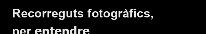01b_T_foto.png